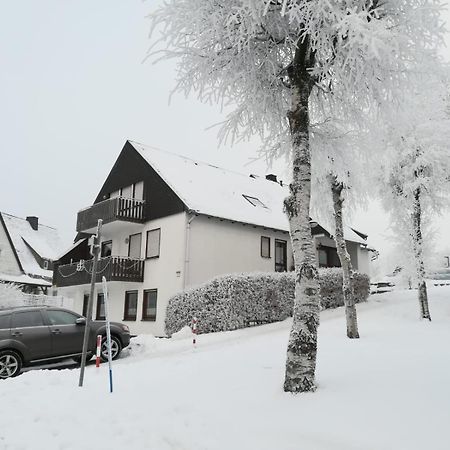 Апартаменты Haus Schneider Винтерберг Экстерьер фото